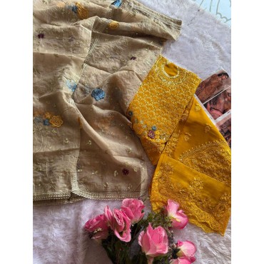 Pure Organza With Embroidery Work