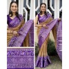 Designer Dola Patola Beautiful Saree 